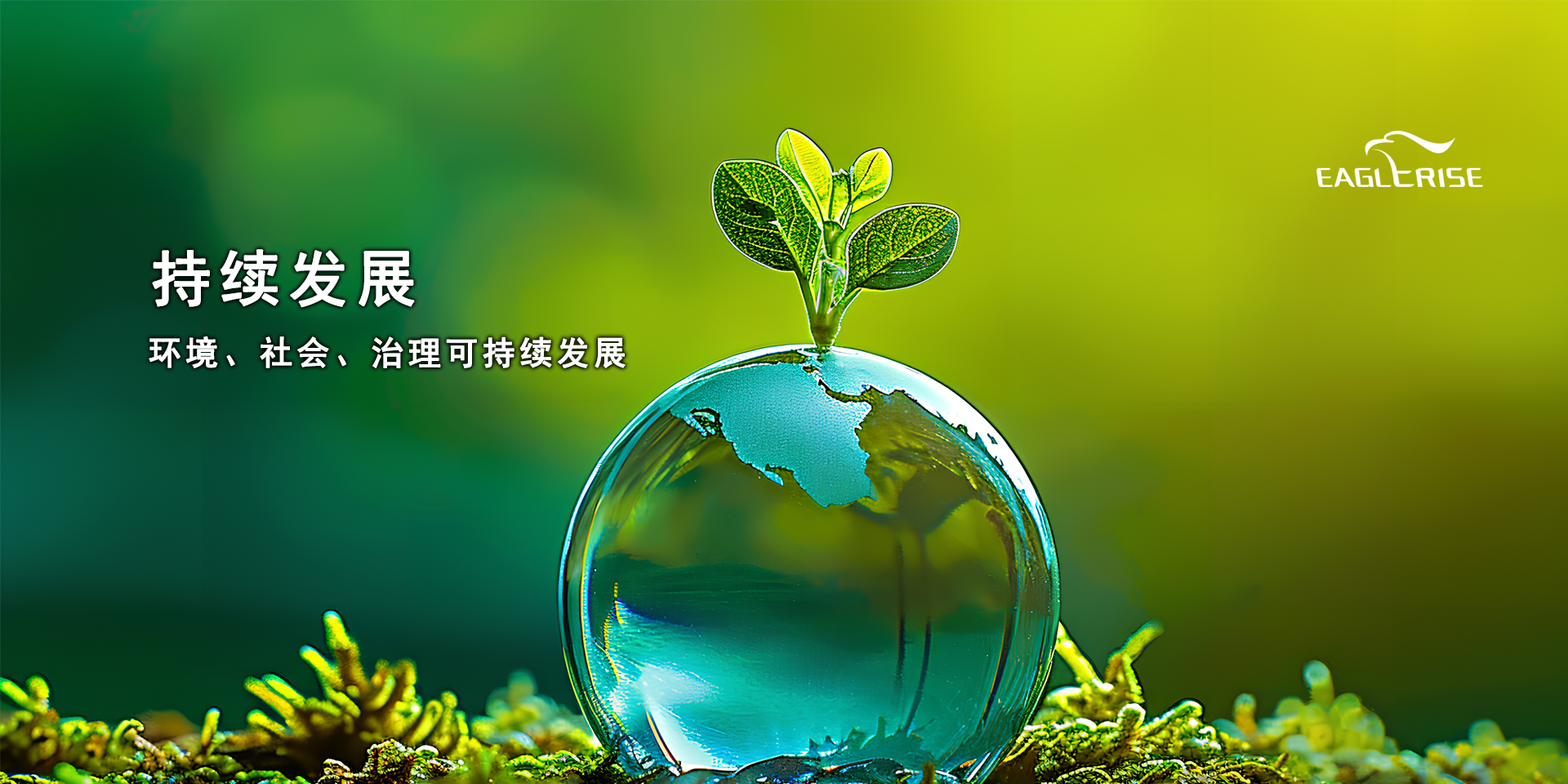 �������ʹ���-׷�󿵽�,����һ������